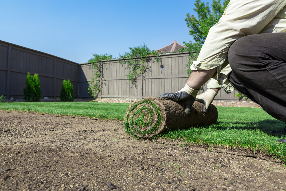 From Turf To Transformation: Unveiling The Secrets Of Successful Sod Installation
