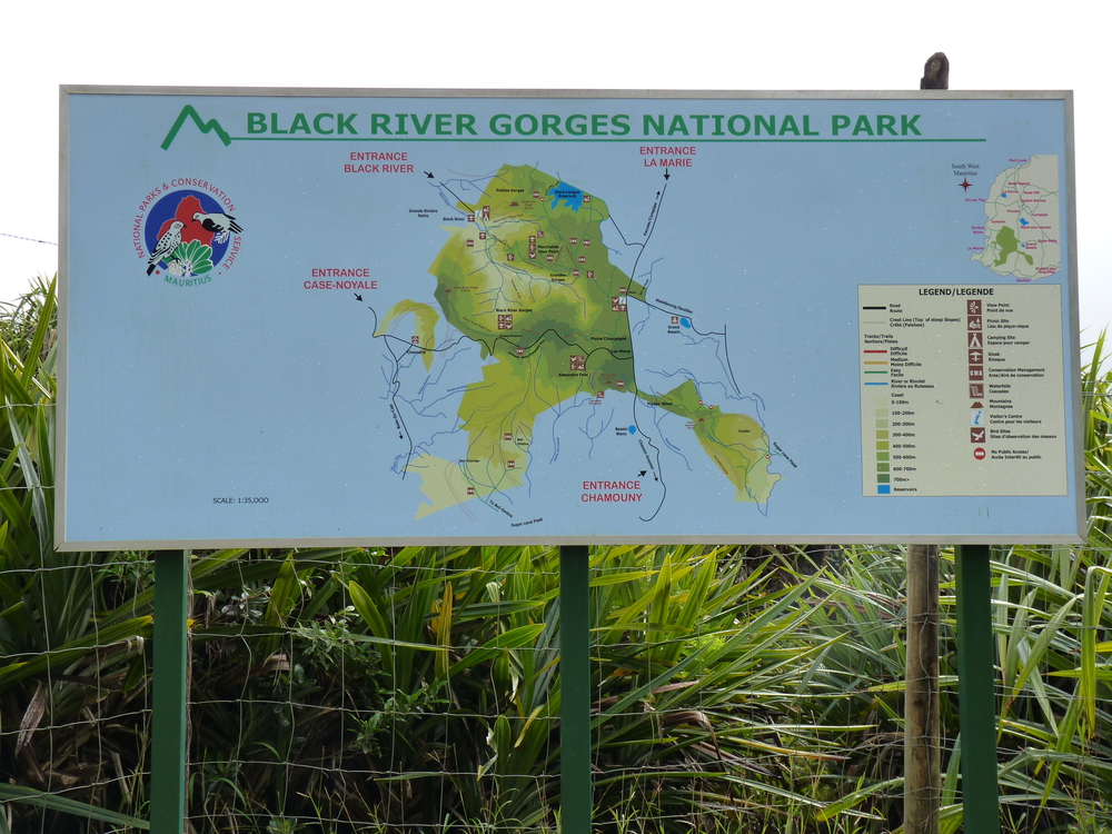 Experiencing Nature’s Lush Wilderness Of Mauritius’s Black River Gorges National Park: Mauritius’ Wilderness Gem