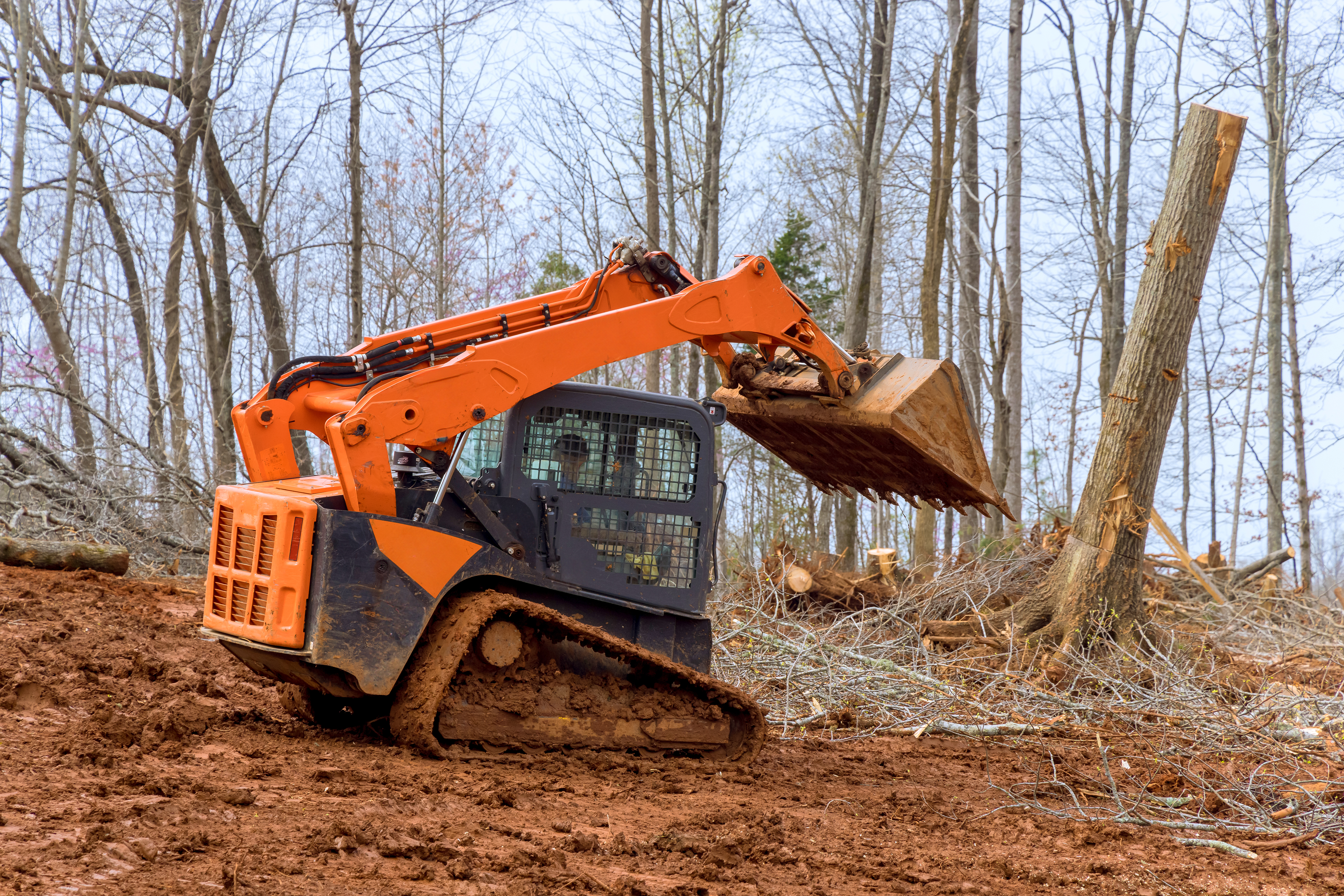 How to Choose the Right Land Clearing Contractor